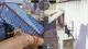 Ключ активации Little Strays - Havana для Xbox One/Series S/X - изображение 4