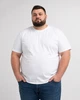 Футболка чоловіча Fruit of the Loom Valueweight базова класична 100% бавовна, розмір 3XL, біла - зображення 8