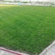 Газонная трава Универсальная Green Up 2 кг - изображение 2
