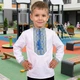 Вишиванка для хлопчика біла Козак, вишивка хрестиком, довгий рукав, повсякденна, 5 років 110 см, синьо-жовтий - зображення 2