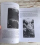 Книга "Оракул Затьмарення з нуля до профі" Алла Nera - зображення 6