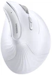 Мышь Ugreen MU008 Wireless/Bluetooth White (UGR-45759) - изображение 1
