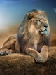 Плед «Большой и гордый лев. A big and proud lion» Однослойный, 150х210 см - изображение 2