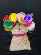 Женское платье-футболка мини Цветочный кот Modna KAZKA MKSH2444/1 - 54/56, Чорний - изображение 2