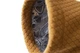Утеплена куртка для собак Hurtta Warming Midlayer ECO 45 Гірчичний - изображение 5