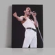 Інтер'єрна картина Фредді Мерк'юрі, Freddy Mercury, Queen, Квін, концертне ретро фото, рок, 60×86 см (id7287) - зображення 1