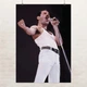 Постер Фредді Мерк'юрі, Freddy Mercury, Queen, Квін, концертне ретро фото, рок, A3 29×42 см (id7287) - зображення 1