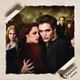 Постер Сумерки. Сага:Новолуние, Twilight Saga: New Moon, Эдвард Каллен, Белла Свон, A3 42×28 см (id6165) - изображение 4