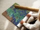 Постер Ирисы, Винсент ван Гог, Irises, Vincent van Gogh, интерьерный декор, A3 30×38 см (id6820) - изображение 3