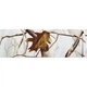 Маскировочный костюм Hallyard Big foot snow 2X Realtree AP Snow - изображение 3