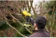 Садовые ножницы - аккумуляторный секатор STANLEY FATMAX SFMCPP32M1 Li-Ion 18В вес 4 кг диаметр реза 32 мм (SFMCPP32M1) - изображение 5