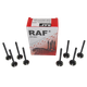Клапан RAF ВАЗ 2108, 2109, 21099, двиг 1.3л, комплект впуск-випуск 8 шт (49090) - зображення 1