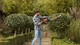 Электрический кусторез BLACK+DECKER BEHTS301 мощность 0.5 кВт длина ножа 50 см вес 2.47 кг (BEHTS301) - изображение 6