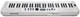Syntezator Nux NEK-110 WH - obraz 2