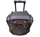 Акустическая переносная колонка ZXX-1520 300Вт 15" TWS/FM/USB/TF/BT/REC/LED/2MIC/ДК - изображение 3