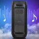 Акустическая переносная колонка ZXX-5550 80Вт 2x8" TWS/FM/USB/TF/BT/REC/LED/2MIC/ДУ - изображение 5