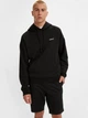 Шорти бавовняні короткі чоловічі Levi`s 17202-0003 38 Black (5401105711146) - зображення 1