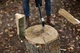 Сокира-колун Fiskars X25 XL (1015643) + Точило для сокир і ножів Fiskars (1060003) - изображение 7