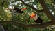 Ключ активації Planet Zoo 2: Deluxe Edition для Xbox Series S/X - зображення 9