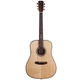 Акустическая гитара Prima DSAG218 Acoustic Guitar - изображение 2