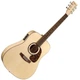 Акустическая гитара NORMAN 031344 - Studio B50 Presys with TRIC (Made in Canada) - изображение 2