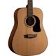 Акустичекая гитара Washburn AD5 - изображение 2