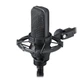 Микрофон Audio-Technica AT4033A - изображение 1