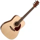 Акустична гітара Simon&Patrick 033669 - Woodland Pro Spruce SG A3T(QIT) (Made in Canada) - зображення 2