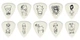 Медиатор Planet Waves 1CWH4-10JS - изображение 3