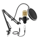 Микрофон HL Audio BM-800 - изображение 3