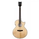 Акустическая гитара Schecter Orleans Stage AC NS-VRS - изображение 1