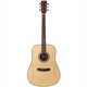 Акустична гітара Prima DSAG205 Acoustic Guitar - зображення 2