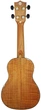 Укулеле Parksons UK21FS - изображение 2