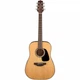 Акустическая гитара Takamine GD10 NS - изображение 2