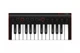 MIDI клавиатура IK Multimedia iRIG KEYS 2 Mini - изображение 1