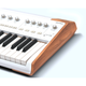 Синтезатор Arturia AstroLab 61 White Version - изображение 6