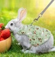 Шлей з повідцем для кроликів "RABBIT" Зелена Size L - зображення 2