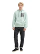 Худі чоловіче Tom Tailor 195259 XL Салатовий (2200005153246) - зображення 1