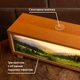 3D LED нічник "Полонина Карпати" натуральне дерево, виробник Україна, акумулятор, USB Type-C, сенсорне керування - зображення 3