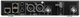 Двоканальний цифровий бездротовий приймач Sennheiser EW-DX EM 2 Dante Q1-9: 470.2 - 550 МГц (4044155260342) - зображення 2