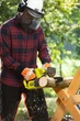 Пила цепная аккумуляторная Ryobi one+ ry18cs20a-125 18в акб 1х2.5А·ч зу 20см 2.3кг 5133005415 - изображение 9