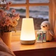 Аккумуляторный светодиодный ночник Taipow, настольная LED лампа , 13 цветов с пультом и сенсорным управлением с таймером - изображение 8
