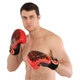 Боксерский набор 4в1 Fairtex Roots 6662 перчатки боксерские + бинты + скакалка + эспандер размер 14 унций Red - изображение 6