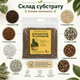 Крафтовый слаботорфяной минеральный субстрат с цеолитом для суккулентов, эхеверий и кактусов, 5 л - изображение 4