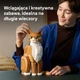 Конструктор LEGO Ideas Помаранчевий кіт 1755 деталей (21376) - зображення 4