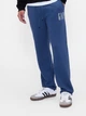 Спортивные штаны на флисе утепленные мужские GAP 474947894 S Синие (1159863662) - изображение 3