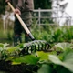 Граблі для троянд Fiskars Solid з дерев'яною ручкою (1011597) - зображення 3