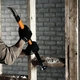 Інструмент для знесення Fiskars IsoCore (L) 1027221 - зображення 6