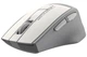 Мышь A4Tech Fstyler FG30 2000dpi Grey+White, USB, Wireless - изображение 2