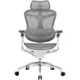 Офісне крісло Sihoo DORO C300 Pro Mesh White (DORO-C300-PRO-M102) [167666] - зображення 1